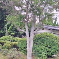 2025年7月 うすい山荘定休日
