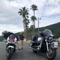 悪天候の次は緊急事態宣言ってか(;´д｀)