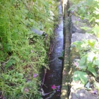 【🔼阿蘇市役所のとんでもない治水処理は、総て〇島〇邦さんを体よく使う〇中〇子の浸水処理と奴の敷地の大量の雨水を処理するもの‼】