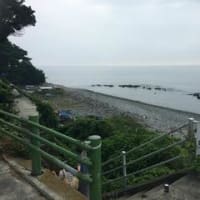 なみのこ村