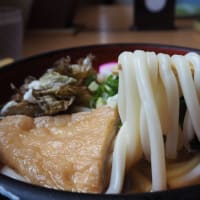 ビックうどん土佐山田店へ行きまっせ