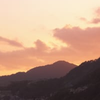 今日は病院