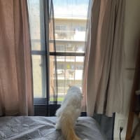 風が気持ちいいー！