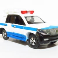 21gO6PHFb6L._AC_UF894,