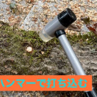 しいたけコマ打ち体験🍄‍🟫