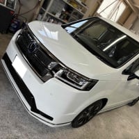 STEP/W/G
