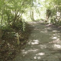 箱根水源地清掃　ボランティア活動