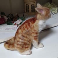 羊毛っこ　猫さん♪生まれました(*^^*)