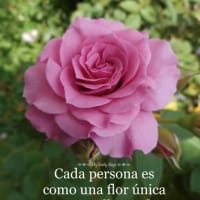 やっと晴れましたね。自己啓発どんどんより良い自分へ～！春、そしてお稽古、FLaMENCO!