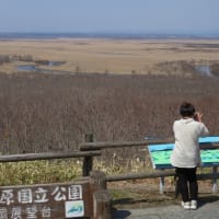 アッシー君の東北海道観光巡り ７ 釧路湿原(細岡展望台)