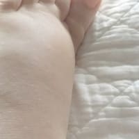 「女王アリ」工作のつづき
