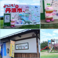 ひまわり畑