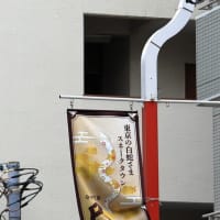 蛇窪神社の茅の輪くぐり