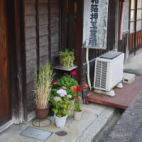 御所まち