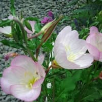花　2