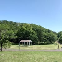 桜ヶ丘公園で森林浴