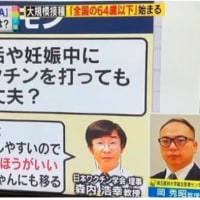 集スト医療ガスライディング【集スト=国家破壊作戦】　2025/03/31
