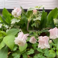 待っております