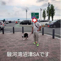 大阪帰省・④