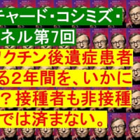 2023.7.23リチャード・コシミズ・チャンネル第7回14:00～