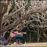 懐かしの青春ソング・フォークソングが聞こえてきた