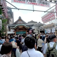 入谷鬼子母神の朝顔市にて