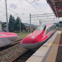 秘湯へ行く～本物志向の湯治宿