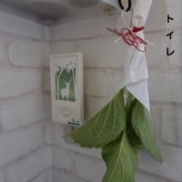 アジサイがまだ咲いてなくて・・
