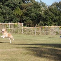 プール遊びは少しだけ