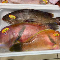 なかなか捕まえにくくてイライラする魚「イラ」
