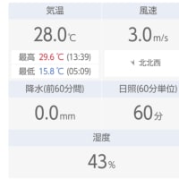 今日いち-2025年5月16日