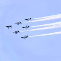 万博でブルーインパルス見学