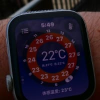 自公の公約じゃ国民納得できないでしょ