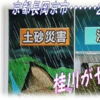 琉金さん🐟兄弟の水槽のライト新しくGEXパワースリムに変えました！＆梅雨時期台風の梅雨前線は危険～過去の西日本豪雨