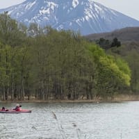 新緑の季節に