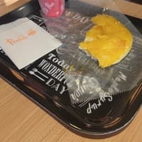 夜明けの月に導かれて　そして春がきた