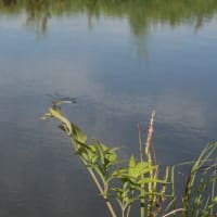 7月21日（月）移動日記