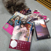 祝ブログ１周年＆引っ越しのお知らせ