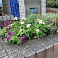 中延公園（品川区）