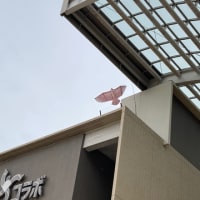 あれはなんだ？！