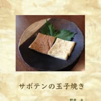 アマゾンから発売・小説、サボテンの玉子焼き