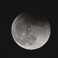2021年11月19日の月食（証拠写真）