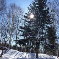 麓の家のスカイツリー　３月１２日