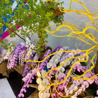 お花の個展「假屋崎省吾の世界展」へ♪