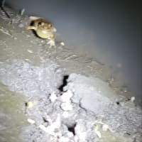 今日遠征行ってきます。
