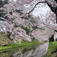 弘前桜まつり2025② 桜ミクコラボ