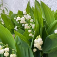 還暦のクラス会　君はどう生きる