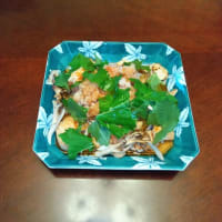 鶏と舞茸の梅オロシポン酢がけ