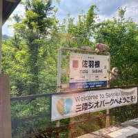 八戸から盛岡へ、そして大阪へ