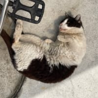 看護補助の仕事